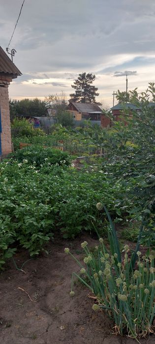 Продам дачу общество Черемушки