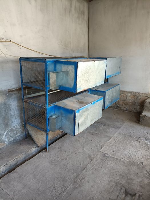 Клетка для кроликов