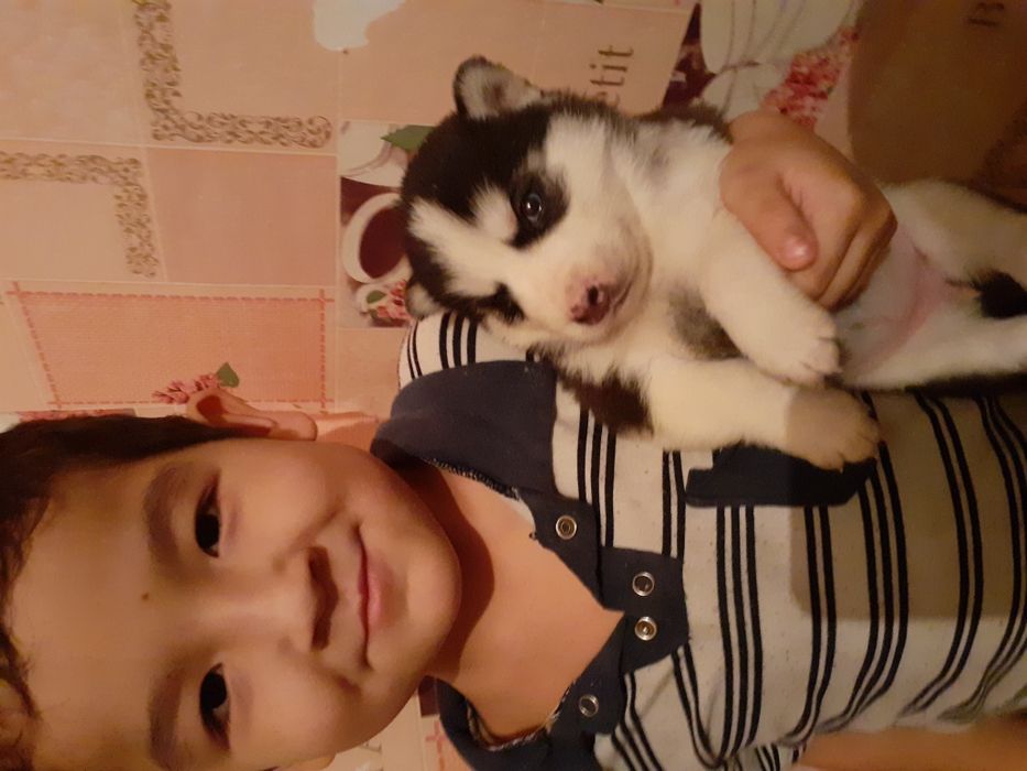 Кабель для вязки Хаски Арлекин развязон