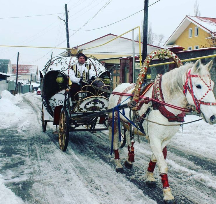 Катание на Каретах