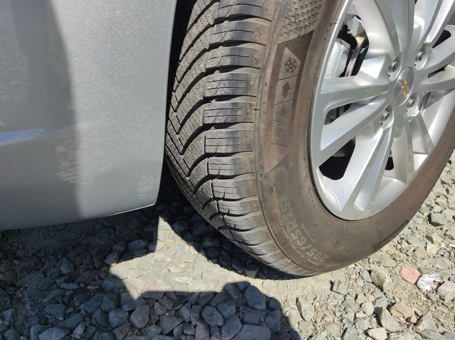 Соболт 2024, 4 поколения метан, 4 та арча болон, биринчи номер олинган