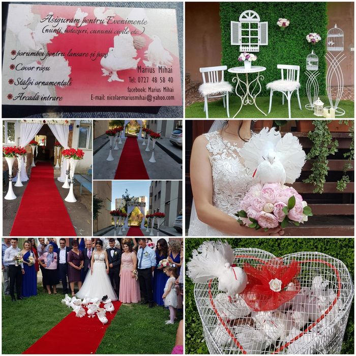 Porumbei albi pt evenimente speciale din viata dv