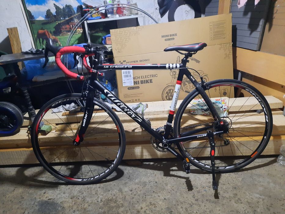 Cursiera Wilier Triestina