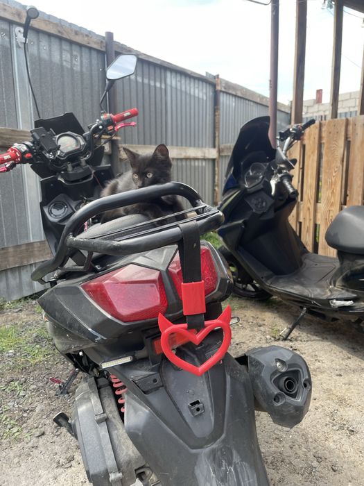 Продам самурай 165сс