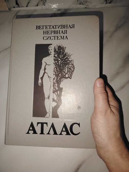 Атлас. Вегетативная нервная система.