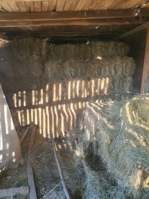 Baloti notret de gradina ne ploati.