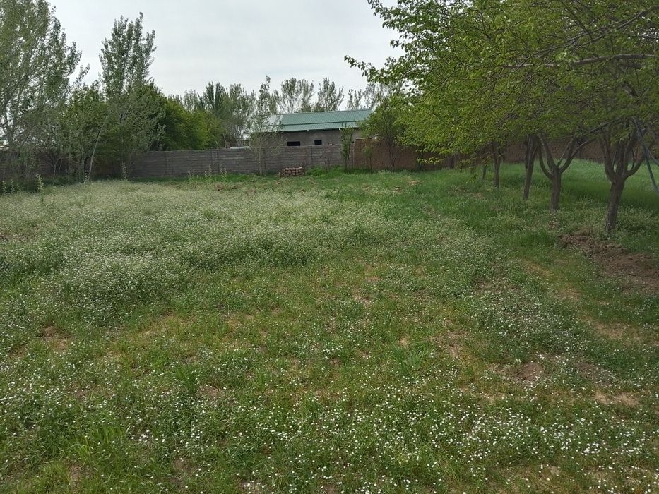 Uy сотилади 13.5 sutix er maydoni bor