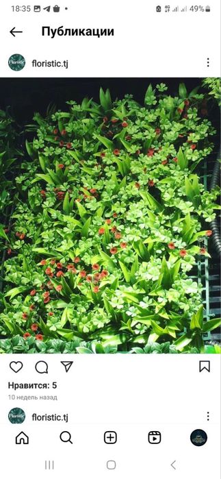 Lanshaft zelin iskustviniy gullar лоншафт искуствиний