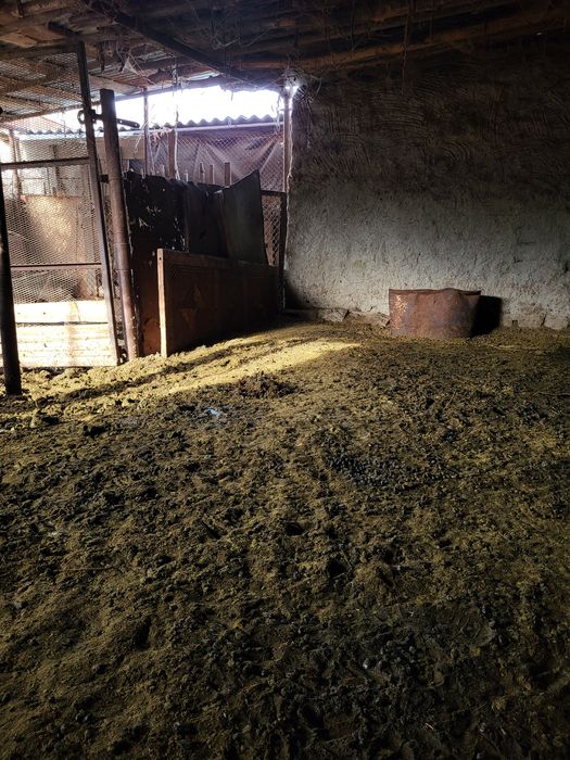 Qoy nurisi,удобрение.