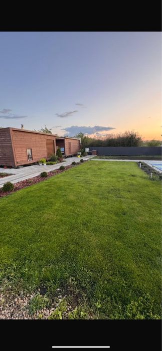 Газон с гарантией год зеленый сочный газон