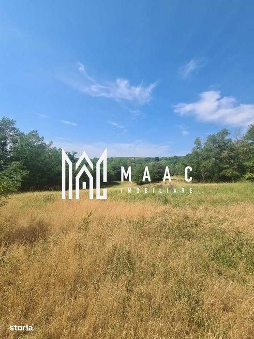 Teren | 12.922 MP | Loamneș