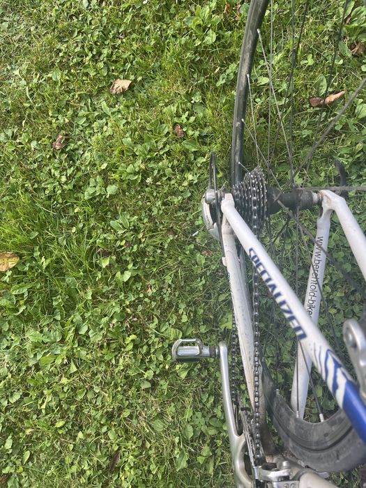 Cursiera Specialized Elite