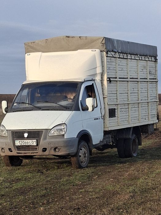 Газел чиста для сибя собранна вариант крс