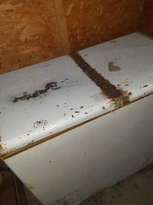 Продается морозильник б\у цена 25000  тенге