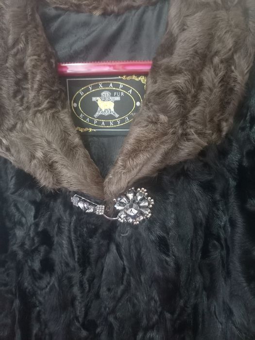 Экспортируется шуба каракул из Узбекистана. качество гарантировано.