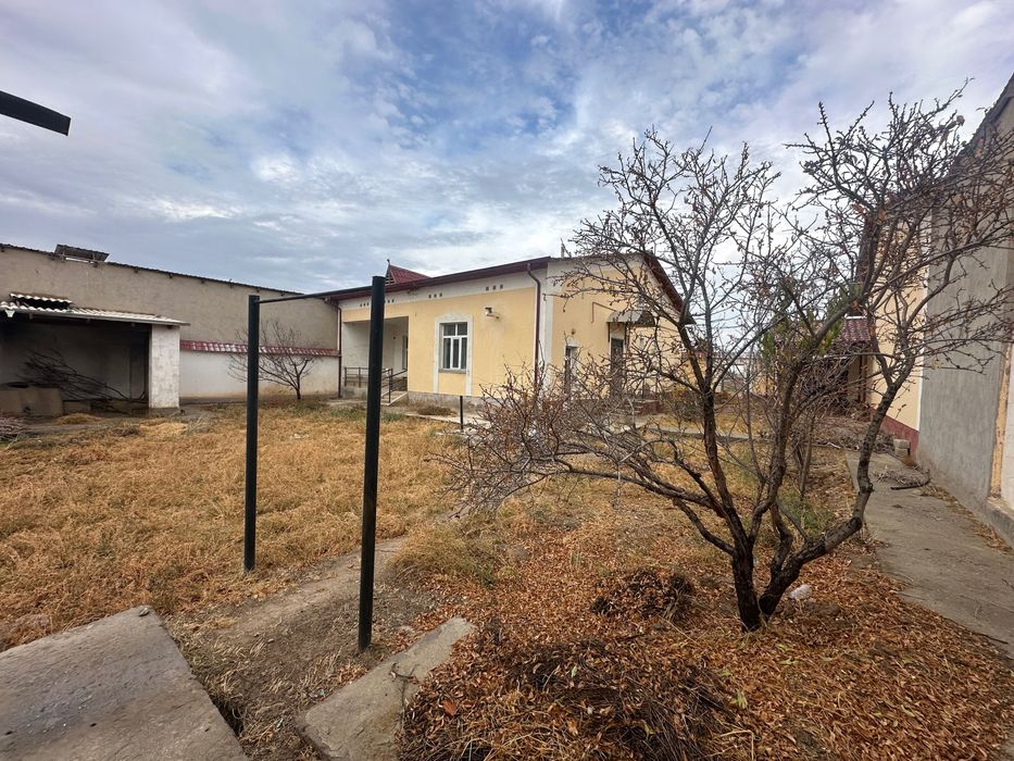 Katej kotej катеж