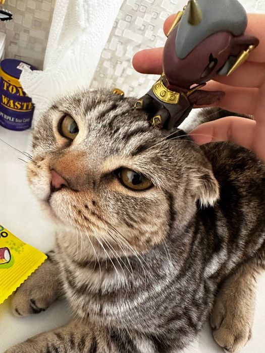 Arcane. Unicorn фигурки . Амбесса Медарда