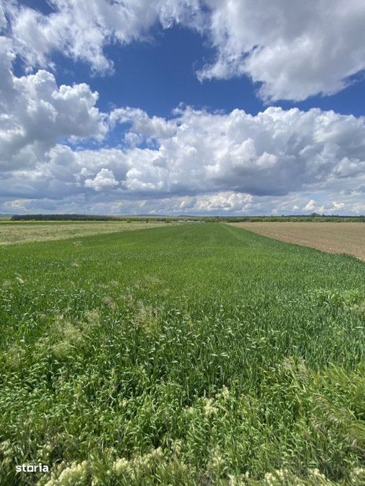 Teren extravilan, zona Itesti, 8800 mp