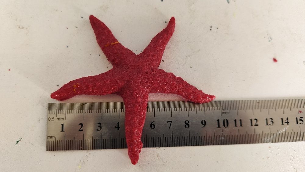 Akvarium uchun bezaklar