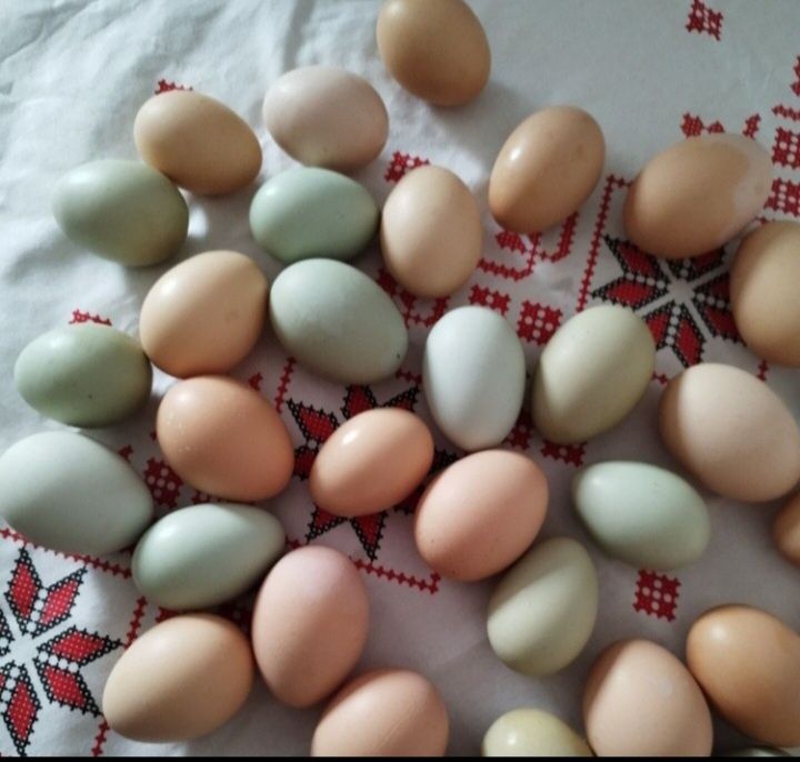 Oua de vânzare  pentru consum