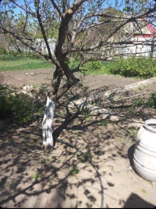 Продам участок вдоль дороги.