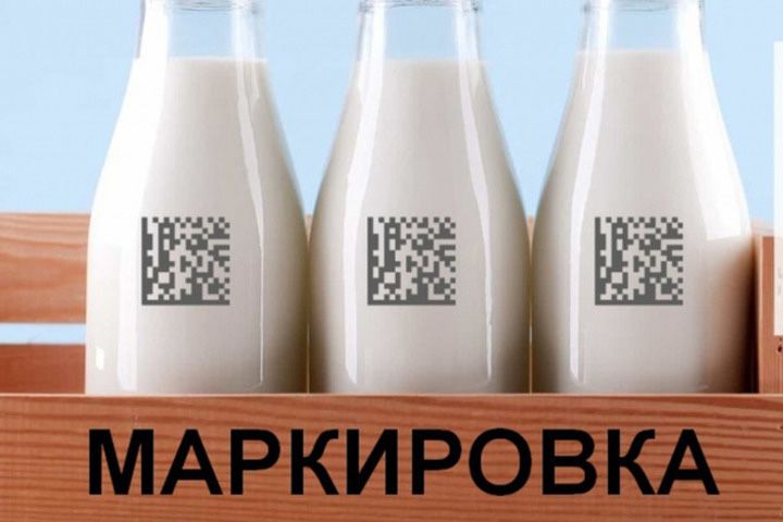 Термоструный Маркиратор | Датеровщик | Датер Data matrix код Asilbelgi