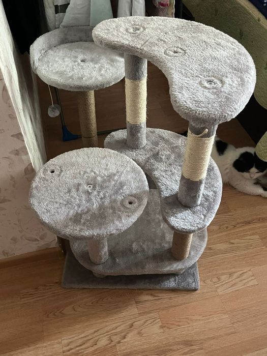 Когтеточка для кошек