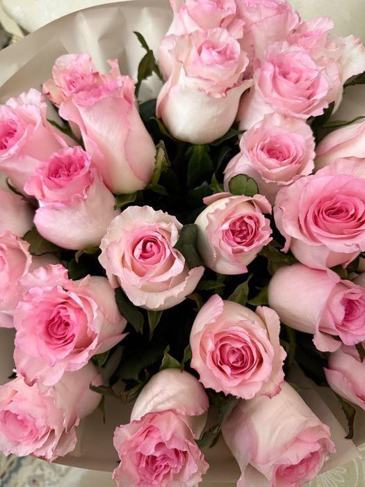 Цветы. 25 роз. Свежий букет