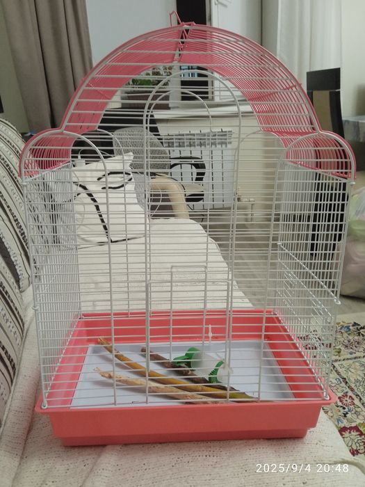 Клетка для попугаев,птиц