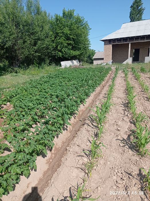 Бука МФЙ катта қалғансир кочаси 54 уй