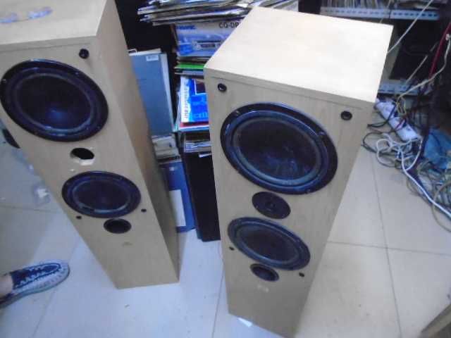 Акустика Radiotechnica