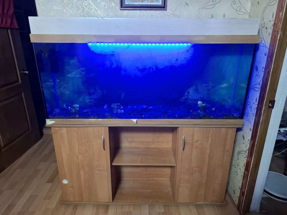Аквариума на 200 литров