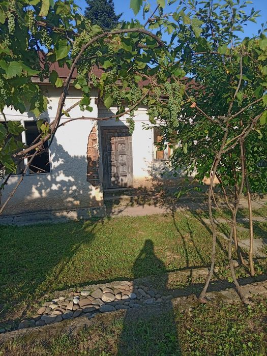 Casă batraneasca teren 700 mp