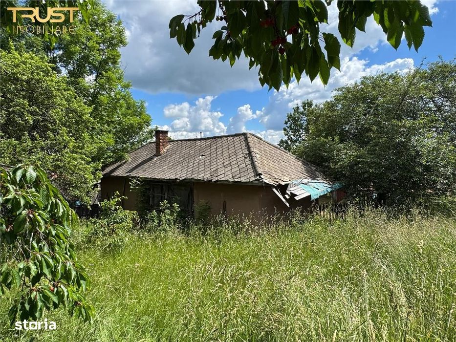 Casa de vanzare l Dangau Mare l 3135 MP Teren