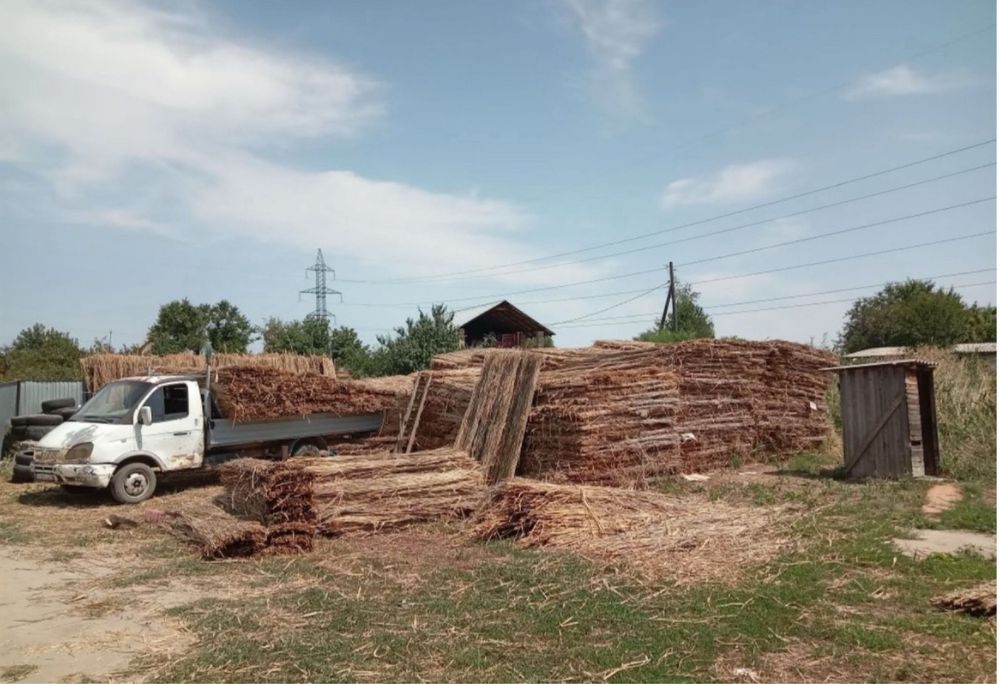 Камышовые маты Алматы Грэс