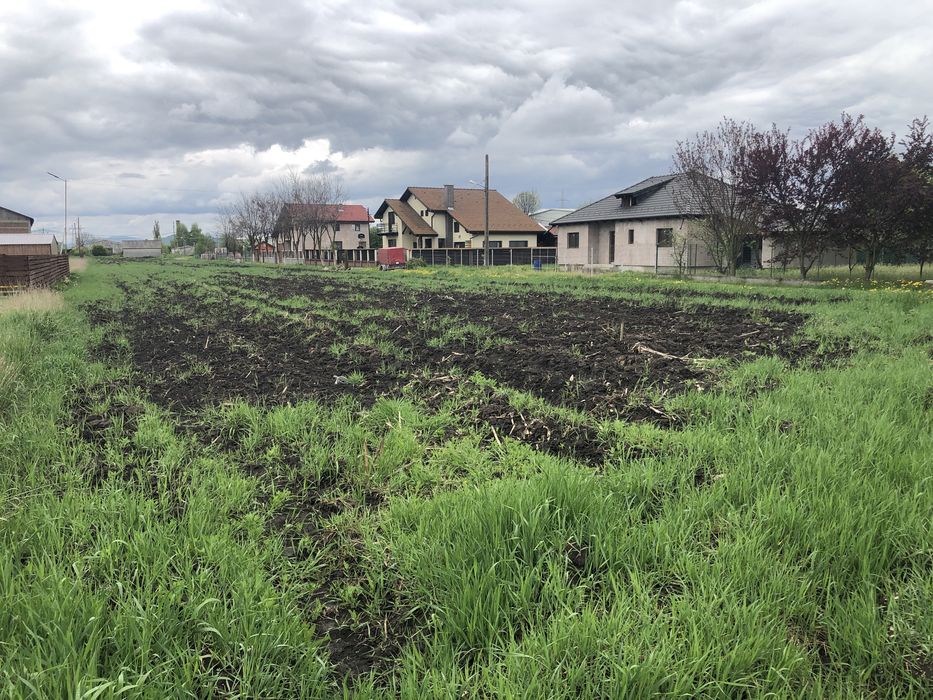 Vand teren intravilan Halchiu