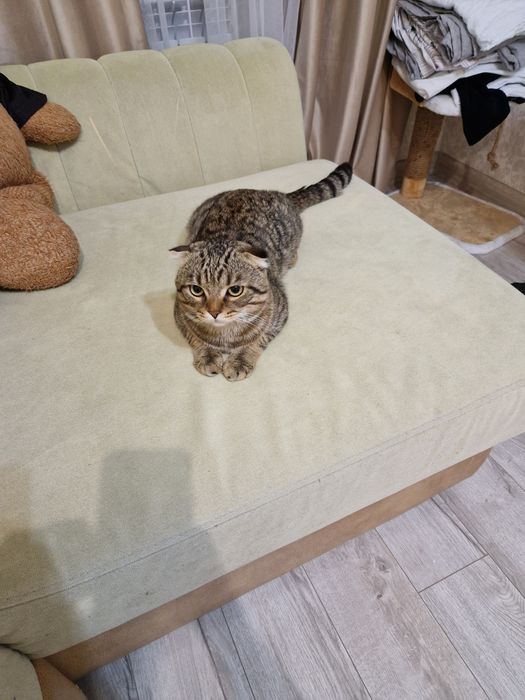 Отдам в хорошие руки