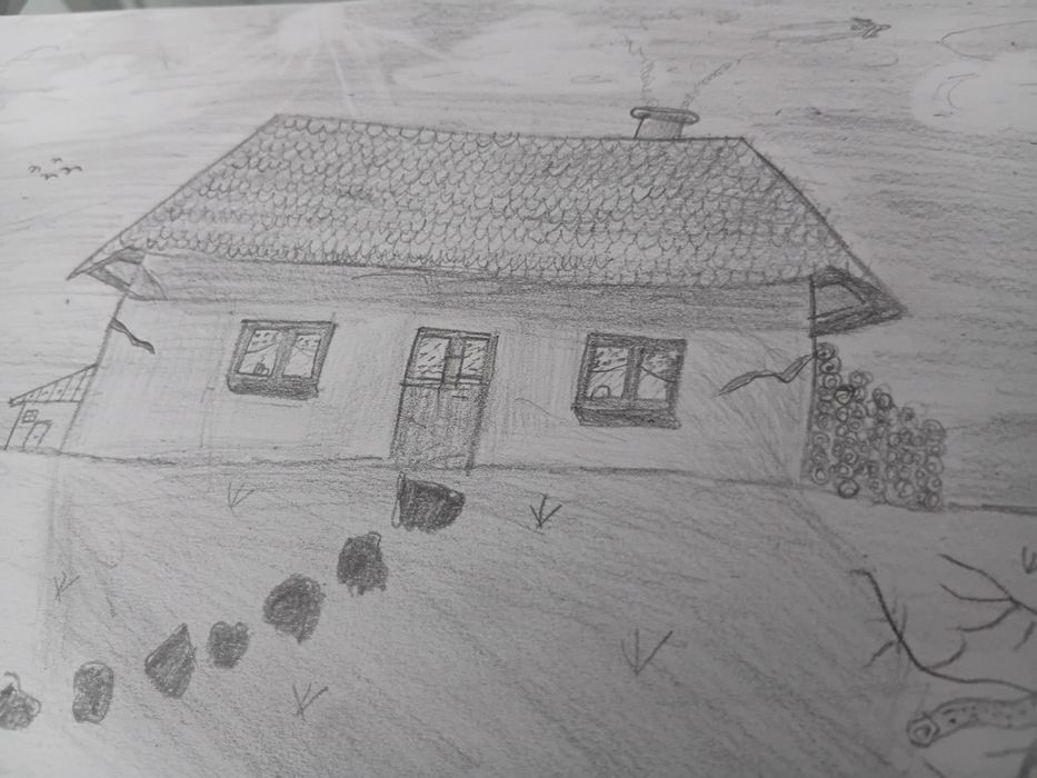 Desen de pus in ramă, editie limitata CASA COPILĂRIEI