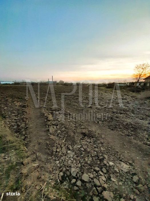 Teren intravilan agricol de vanzare in Episcopia Bihor Oradea, Oradea