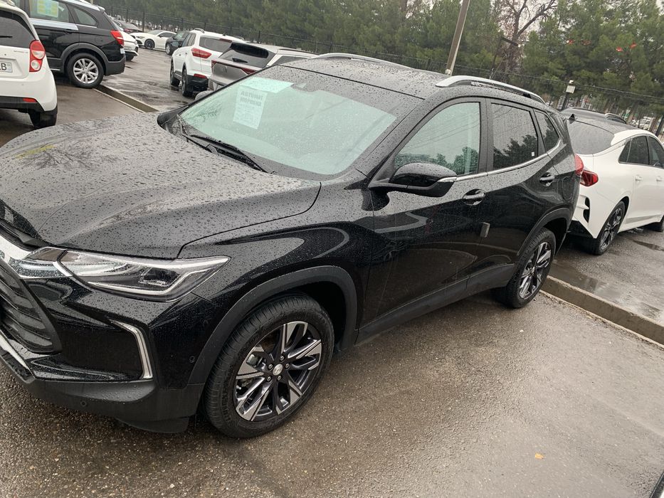 2023 primer krasta tozza