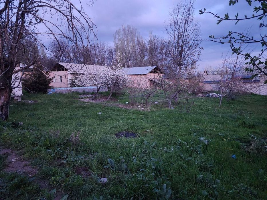 Yer sotiladi oqtosh ko'cha