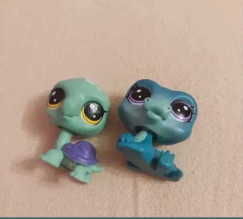 Set reptile Litle Pets