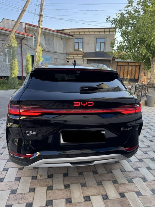 Byd chempion smart