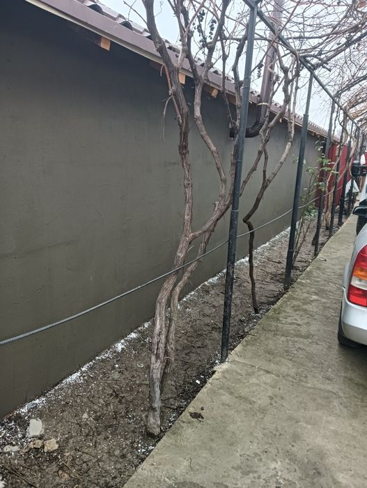 Amenajări interioare exterioare