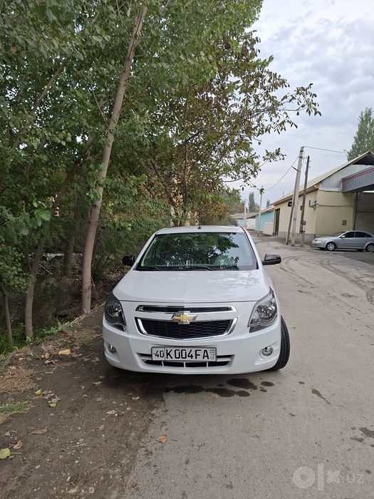 Masla holatda kraska toza