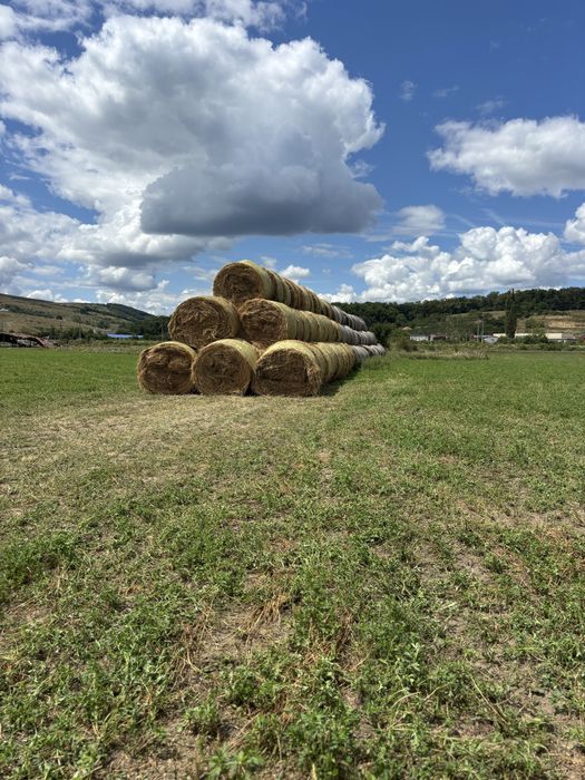 Baloți lucernă coasa I și II – 120×160 cm – Dej
