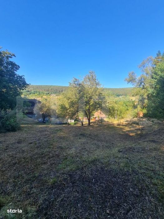 Casa individuala, 170 mp, 2400 mp de teren, zona Micesti