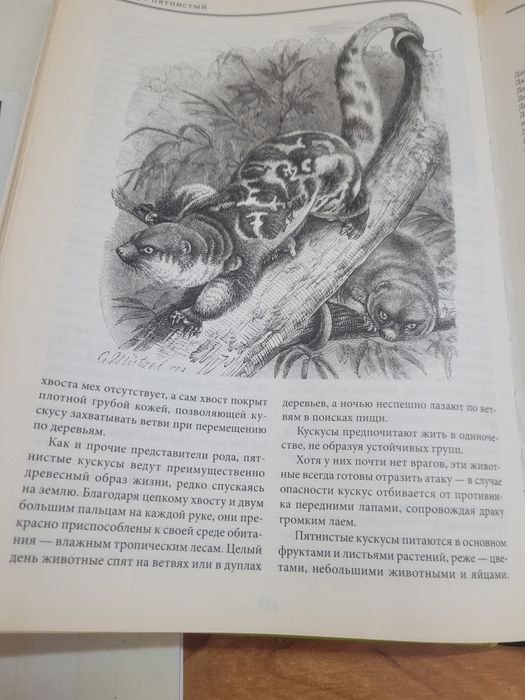 Продам книгу за 300