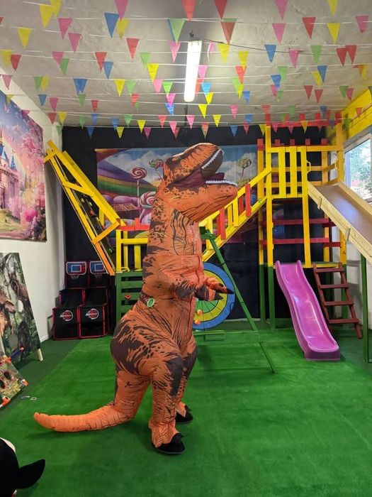 Închiriere topogane gonflabile și mascote