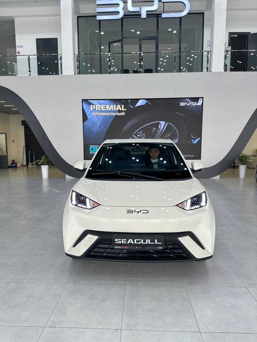 BYD SEAGULL 405KM  Приобретай Авто и получи не забываемые Эмоции !